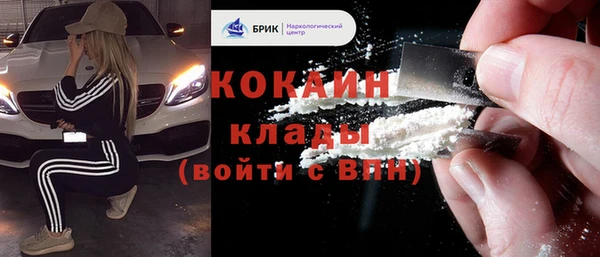 гидра Бронницы